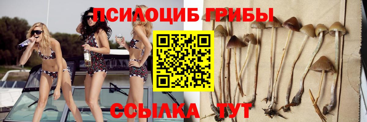 Галлюциногенные грибы Magic Shrooms  Вход с VPN  цены наркотик  Прокопьевск  Псилоцибиновые грибы Psilocybine cubensis 
