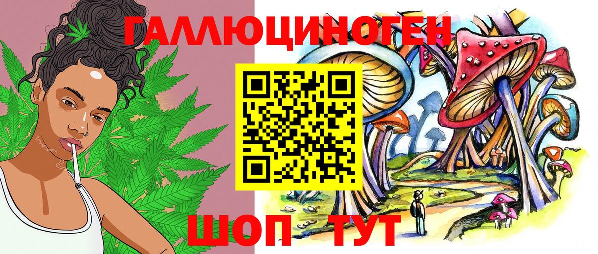 Псилоцибиновые грибы Cubensis Прокопьевск
