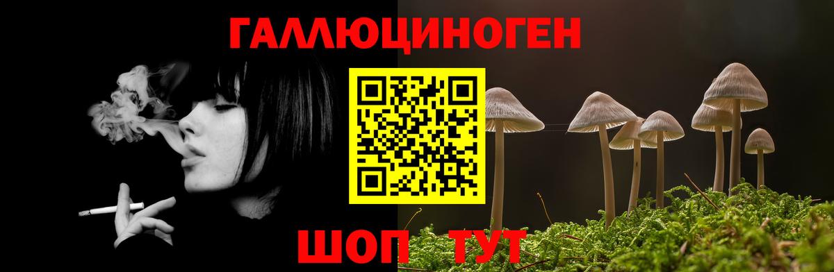 Меф мяу мяу Прокопьевск